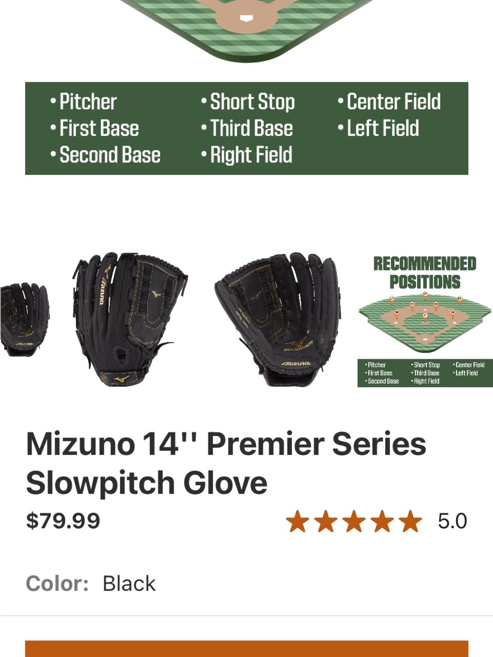 Mizuno Black 14" Premier Series Slowpitch Glove